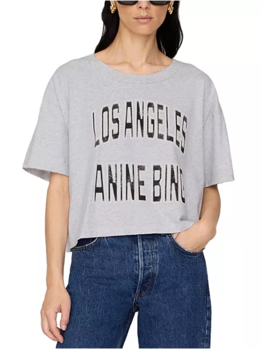 Anine Bing Johnny LOS ANGELES Cropped Tee in grey NWT SIZE S
